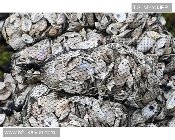 太阳报：前法国国门科斯蒂尔完结工作转型，如今是牡蛎饲养者